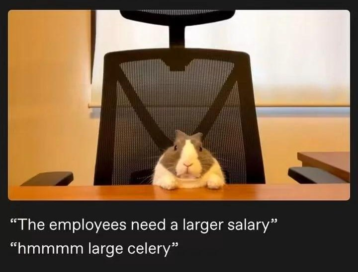 A bunny sitting in an office chair. 

First caption "The employees need a larger salary"
Second caption: "hmmmmm large celery"